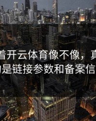 别只盯着开云体育像不像，真正要看的是链接参数和备案信息