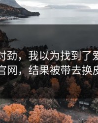 这事不对劲，我以为找到了爱游戏体育官网，结果被带去换皮页
