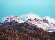 被澳门开奖结果内容影响到生活怎么办？自我评估的5个信号：先把证据留好