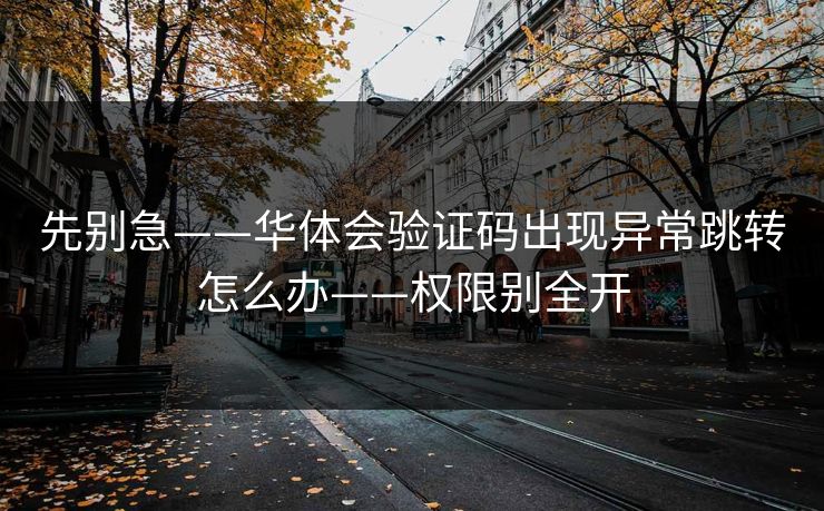 先别急——华体会验证码出现异常跳转怎么办——权限别全开