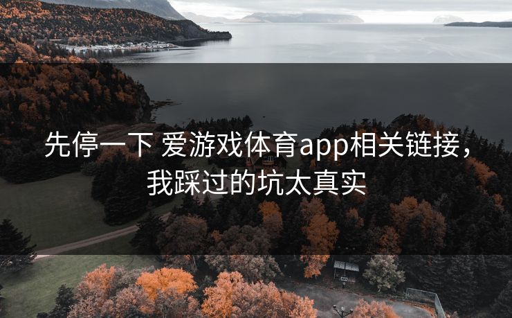 先停一下 爱游戏体育app相关链接，我踩过的坑太真实